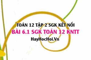 Bài 6.1 SGK Toán 12 tập 2 Kết nối tri thức